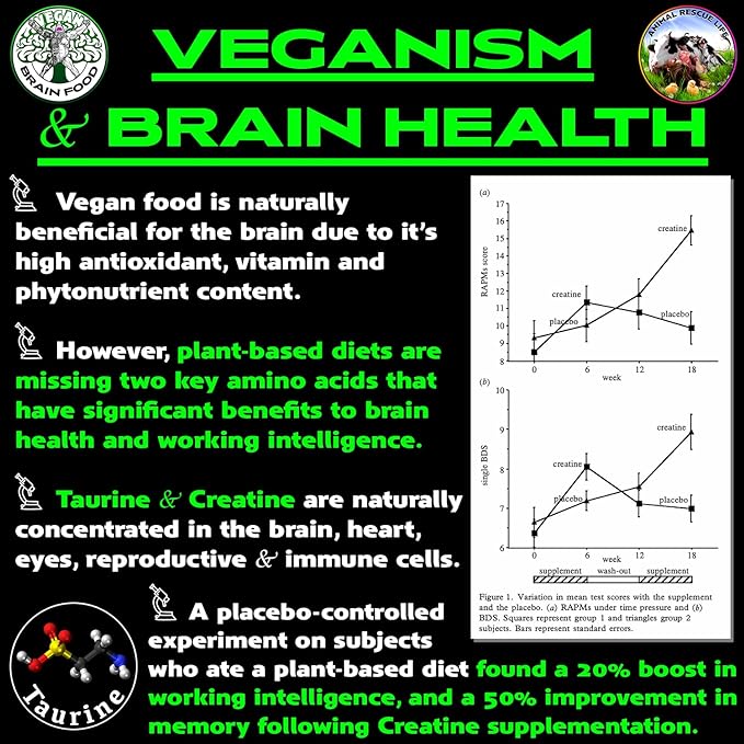 Vegan Brain & Body Boost: The Cherry On Top of A Plant-Based Lifestyle | Working Intelligence | Anti-Aging | Physical Fitness | Vegan Amino Acids - Creatine, Taurine & Beta Alanine | 67 Servings/500g