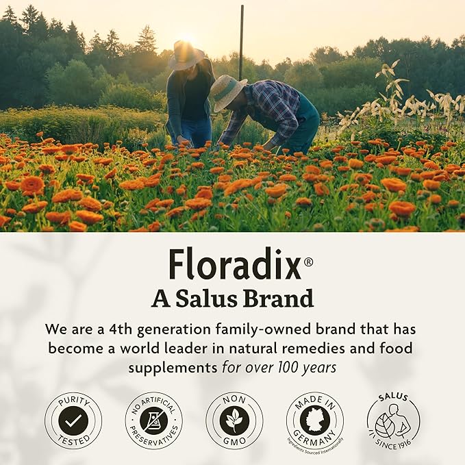 Floradix Floravital Liquid Iron & Vitamins Formula - Liquid Iron Supplement with B Complex Vitamins, Vitamin C & Herbs for Energy Support - Vegan, Gluten-Free, Yeast- Free, Non-GMO - 17 oz