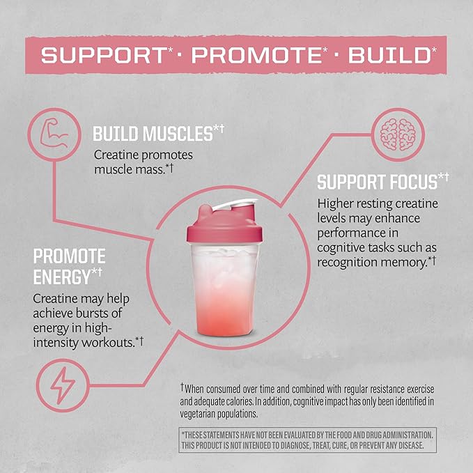 Creatine Monohydrate Powder Micronized PreWorkout Recovery Supplement | Support Muscle Building Strength Training Cognition | Vegan & Keto Friendly Easily Mixes (50 Servings) Raspberry Active Creatine