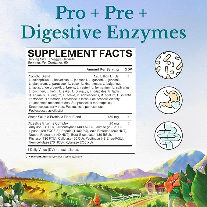 Vitalitown Probiotics 120 Billion CFUs | 36 Strains, with Prebiotics & Digestive Enzymes | Shelf Stable | Digestive Health & Immune Support | Vegan, Non-GMO | Pack of 1 | 60 Delayed Release Veg Caps