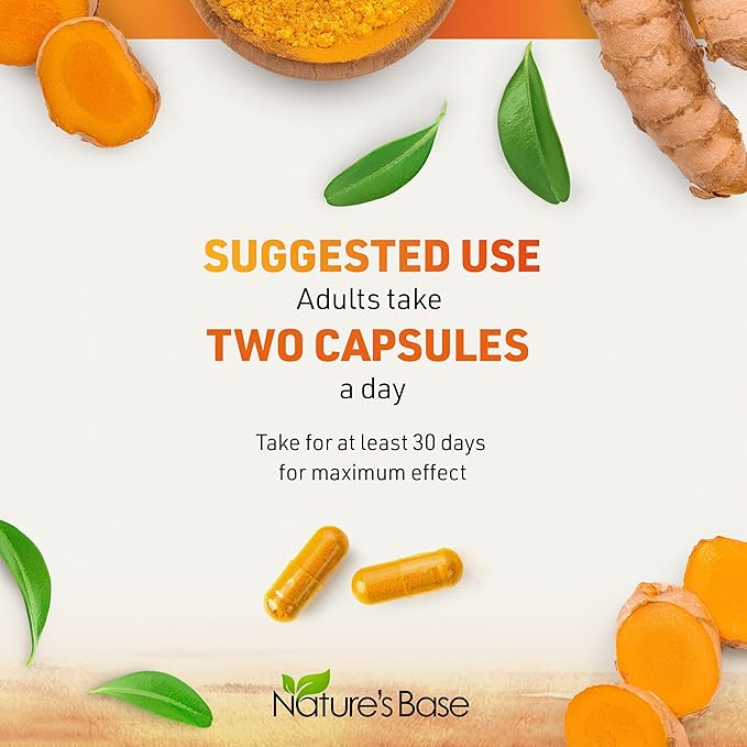Turmeric Curcumin Supplement with Ginger & Apple Cider Vinegar (240 Count) - BioPerine Black Pepper, Tumeric & Ginger - 95% Curcuminoids & Joint Supplement - Antioxidant Tumeric Supplements Capsules