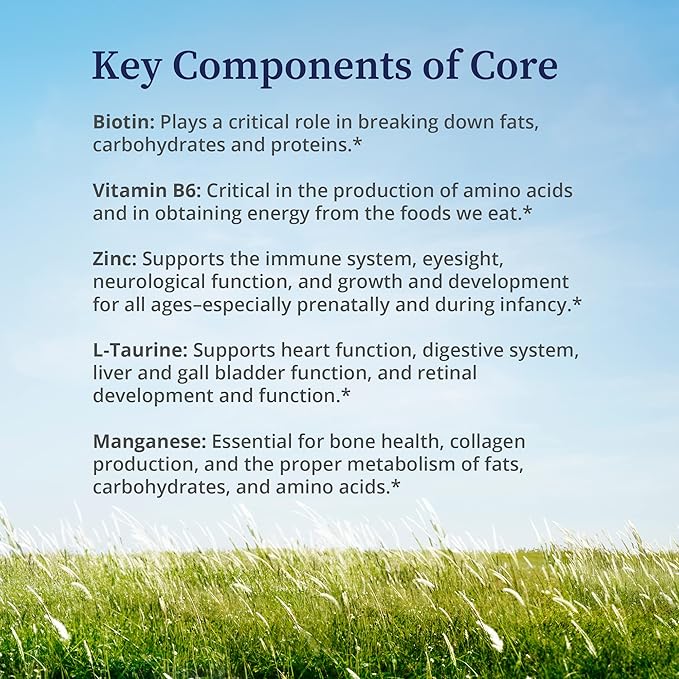 BioPure Core Mineral Supplement – Highly Bioavailable Minerals, Vitamins and Amino Acids to Support Nutritional Maintenance, Optimize Metabolism, and Promote Overall Well-Being – 240 Capsules