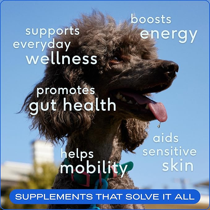 Dog Vitamins and Supplements - 11 in 1 Multivitamin for Dogs with 21 Dog Supplements & Vitamins – Nutritious Dog Food Toppers - Dog Multivitamin Powder - Native Pet The Daily - 120 Scoops