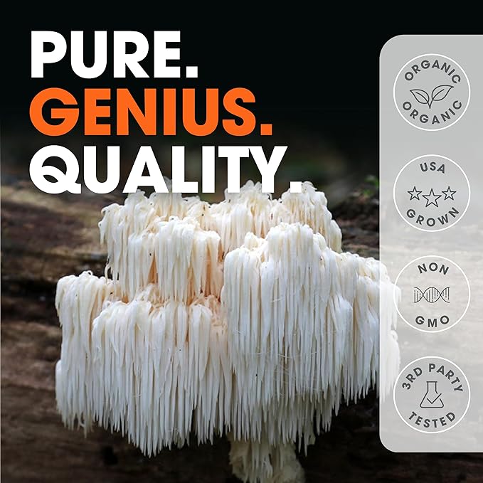 Genius Lions Mane Cognition Vitamins Supplement Capsules - Organic Nootropic Supplement, 1200mg per Serving – 120 Veggie Pills