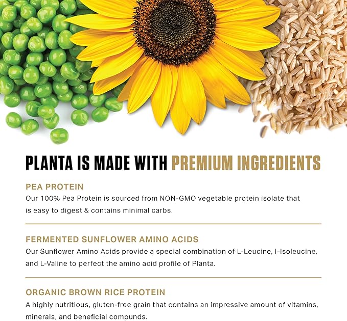 Ambrosia Planta - Premium Organic Plant-Based Protein | Vegan & Keto Friendly | Gourmet Flavors with No Bloating or Stomach Upset | Gluten & Soy Free | No Added Sugar | 25 Servings | Cookies Cream