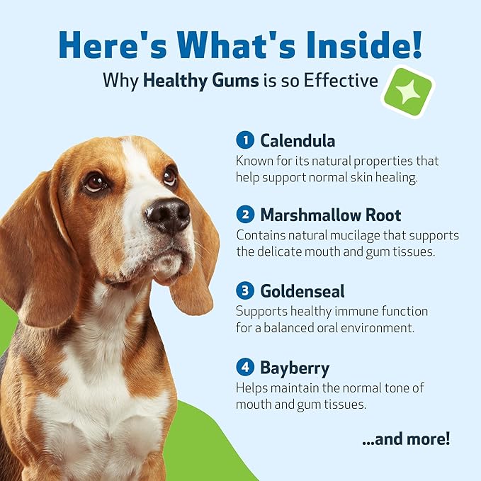 Pet Wellbeing Healthy Gums for Dogs - Gums & Dental Health, Oral Care, Healthy Breath, Coenzyme Q10, Zinc Oxide, Calendula, Marshmallow Root - Veterinarian-Formulated Holistic Topical 4 oz (118 ml)