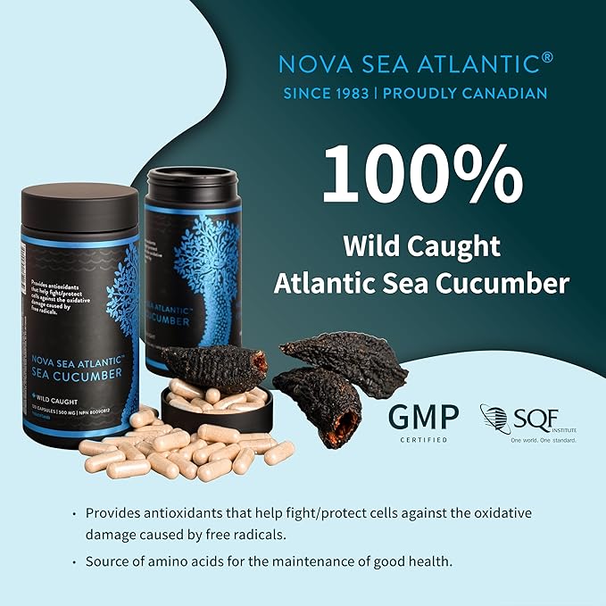 Sea Cucumber Supplement, Wild Caught Sea Cucumber Capsules with Fucosylated Chondroitin Vitamins Mineral — Natural Antioxidant Supplement for Elderly Adult Child (Pack of 2)