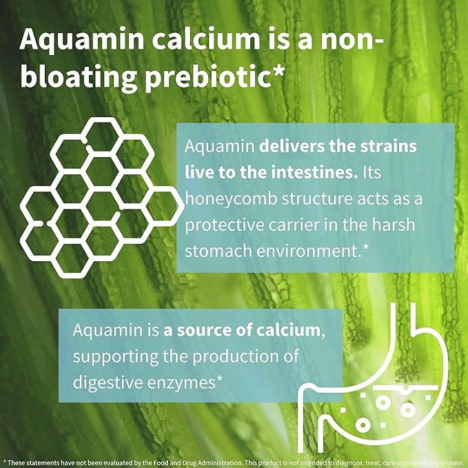 Live Cultures+ Lab4 Probiotics & Prebiotic, Lactobacillus Acidophilus & Bifidobacterium, Guaranteed 25 Billion CFU,Vegan, Non-Bloating Gut Health Support, Non-GMO, 30 Capsules, by Igennus