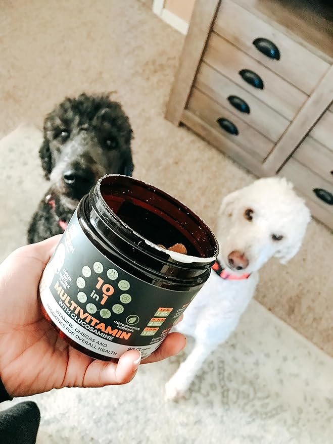 Googipet Premium 10 in 1 Dog Vitamins Multivitamin Chewable w/Dog Probiotics for Gut Health, Dog Vitamins and Supplements w/Vitamin C & Glucosamine for Joint Support (Peanut Butter & Pumpkin Flavor)