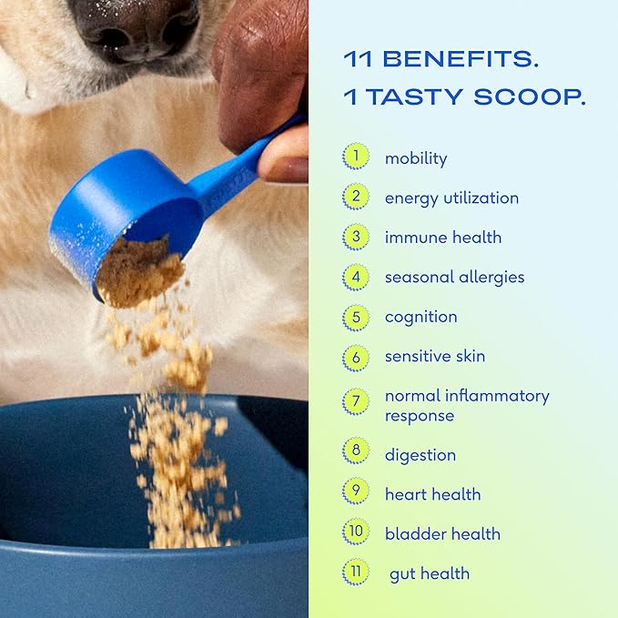 Dog Vitamins and Supplements - 11 in 1 Multivitamin for Dogs with 21 Dog Supplements & Vitamins – Nutritious Dog Food Toppers - Dog Multivitamin Powder - Native Pet The Daily - 120 Scoops