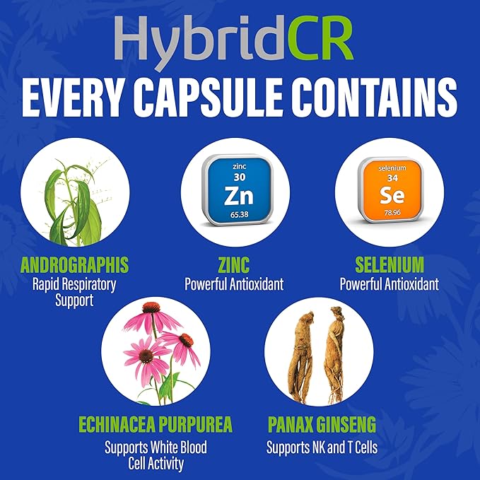 HybridCR Rapid Immune Support Supplement – 4 Day Immunity Supplement - Immune Defense Booster with Echinacea, Ginseng, Andrographis, Zinc, Selenium – Travel Size System Support – 24 Caps, 2 Dose Packs