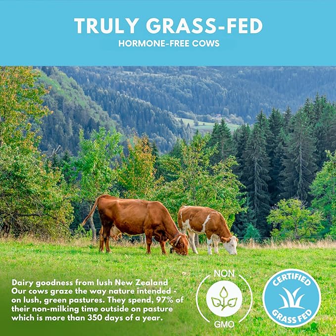 Opportuniteas Grass Fed Chocolate Whey Protein Isolate Powder - 20g Protein Powder Without Artificial Sweeteners, Hormone-Free Happy Cows, Non GMO - 1lb